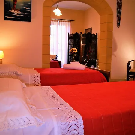 Oleaster - 3* Bolognetta