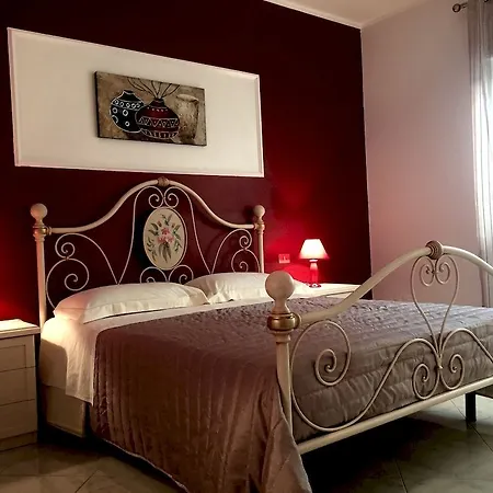 Oleaster - Bolognetta