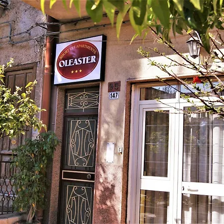Oleaster - &