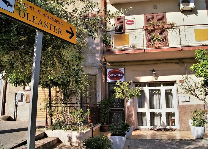 Oleaster - Bolognetta