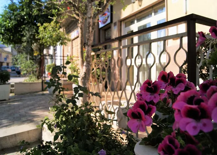 فندق مبيت وإفطار Oleaster - 3*