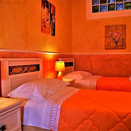 Oleaster -