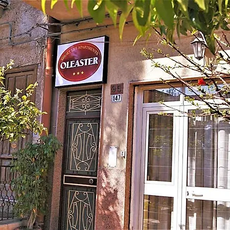 Bed and Breakfast Oleaster -
